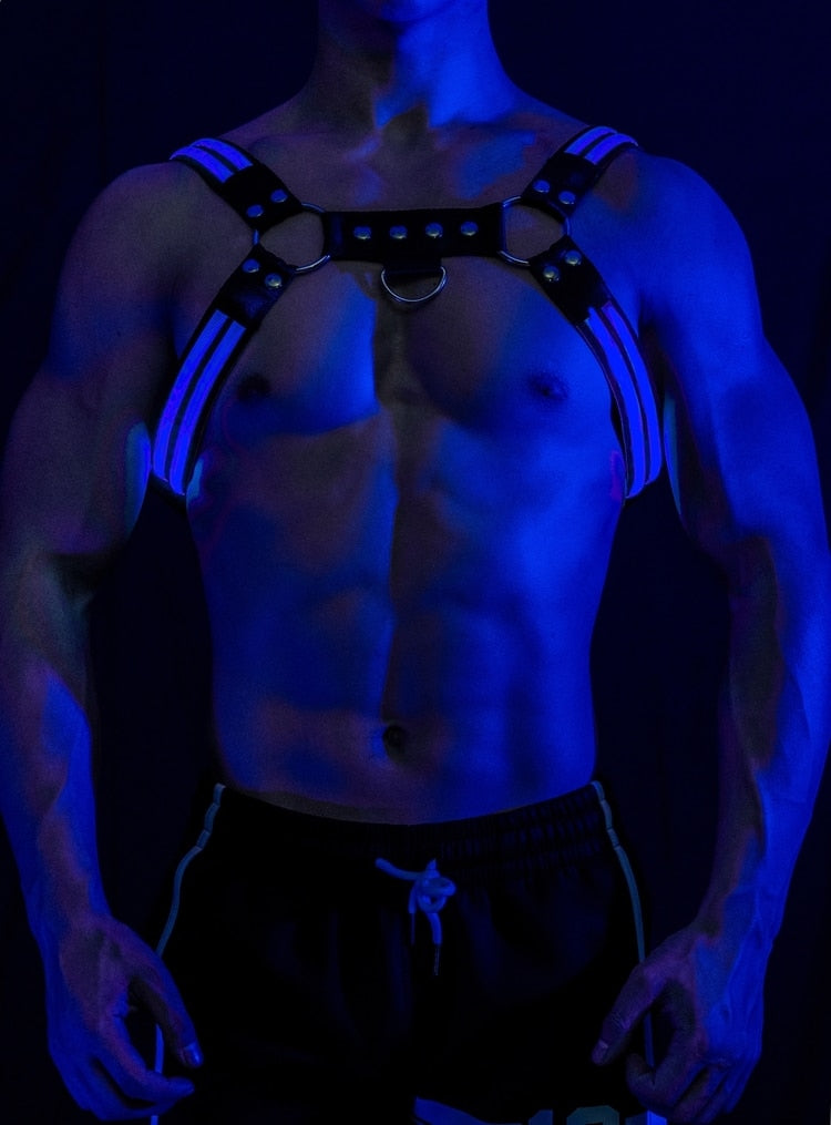 Lumi Harness
