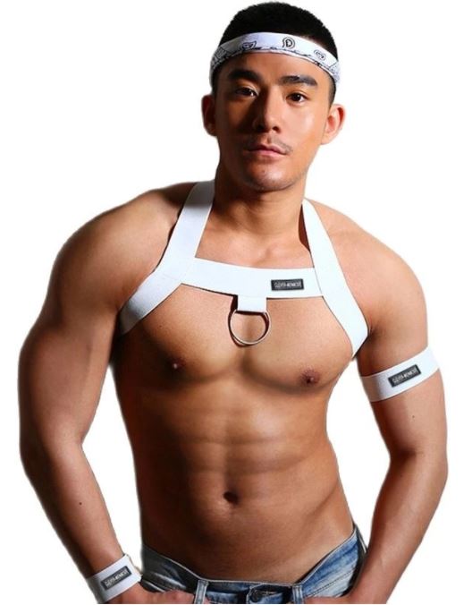 Classic Band Harness (White)