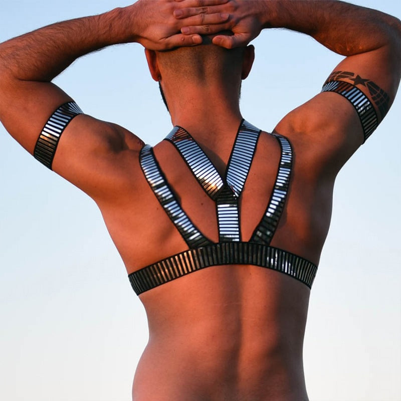 Silver Strap Harness