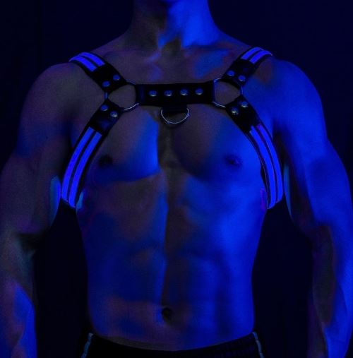 Lumi Harness