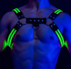 Lumi Harness