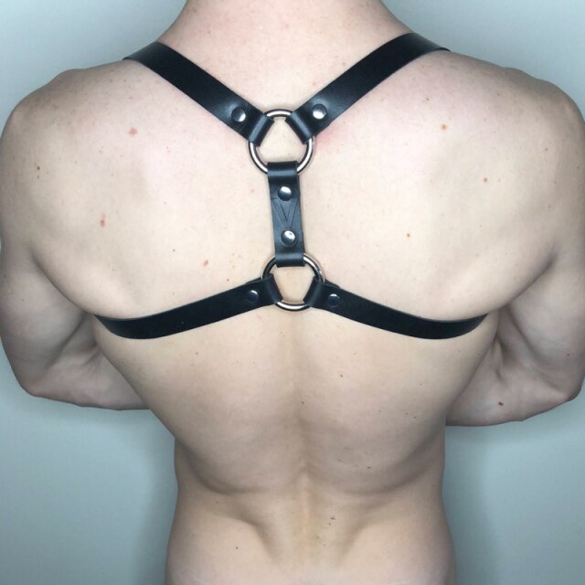 Baxk Harness
