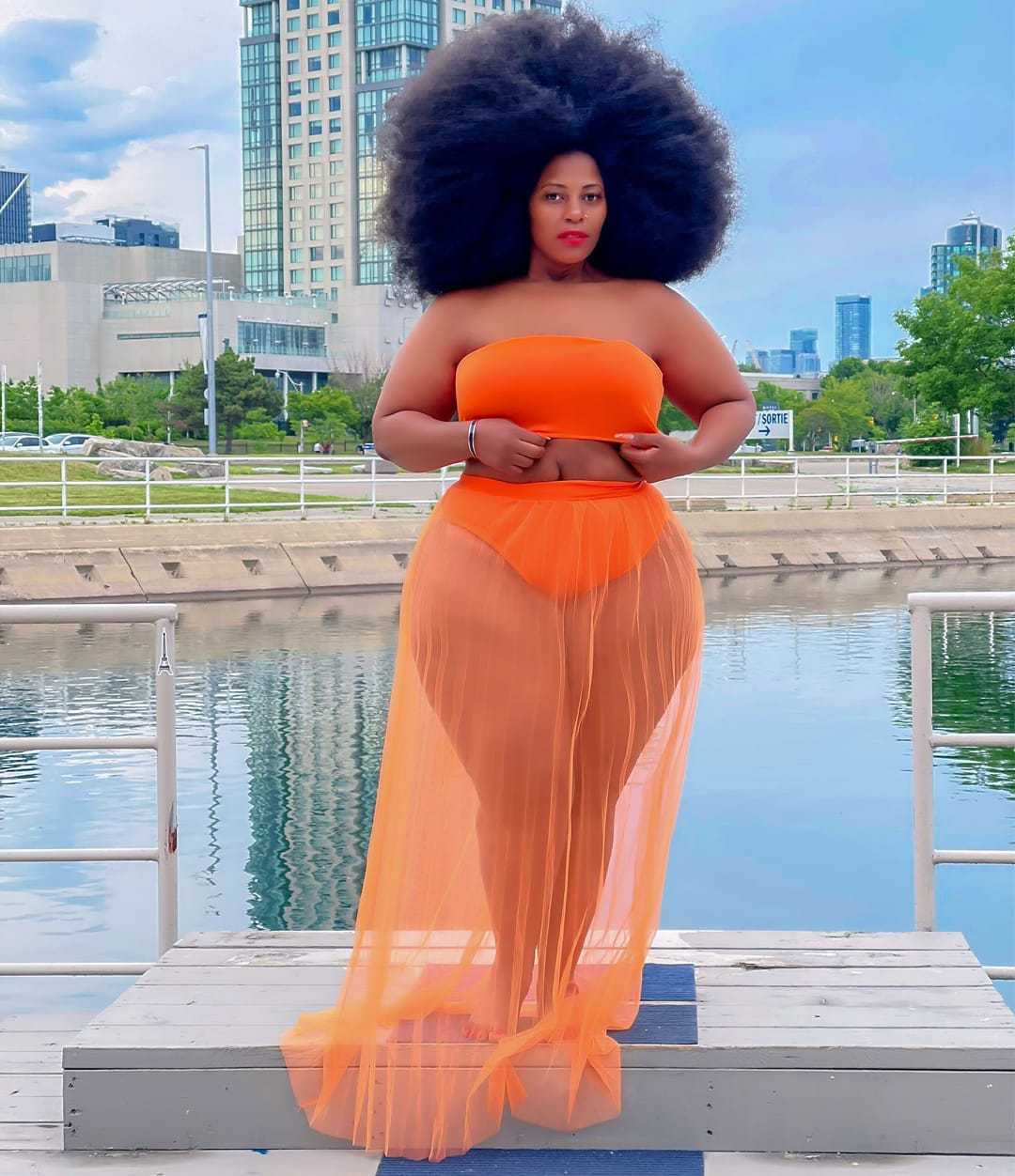The Queen Strapless Crop & Mesh Skirt Set