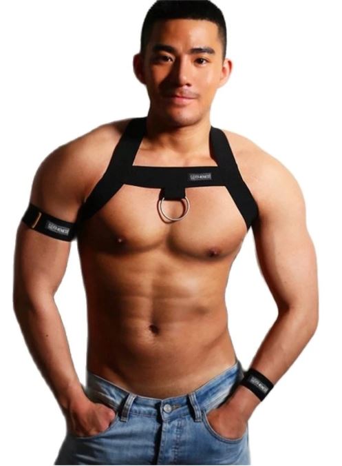 Classic Band Harness (Black)