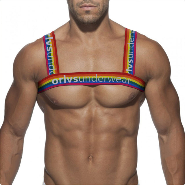 Rainbow Band Harness